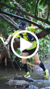 BIB:  <button type="button" onclick="openModal(27825636)" class="btn btn-primary btn-sm float-right" data-toggle="modal" data-target=".modal-high-quality">
                <i class="fa fa-download"></i> Download
                </button>